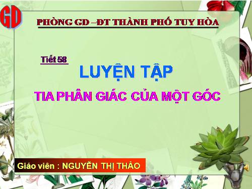 Các bài Luyện tập