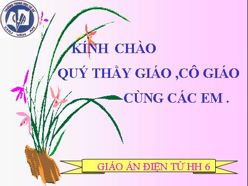 Chương I. §8. Khi nào thì AM + MB = AB?