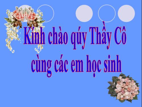 Chương II. §8. Đường tròn