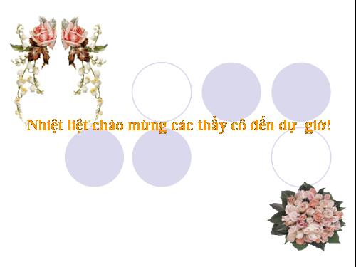 Chương II. §8. Đường tròn