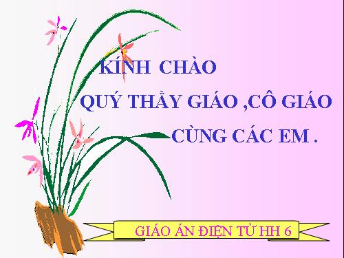 Chương I. §8. Khi nào thì AM + MB = AB?