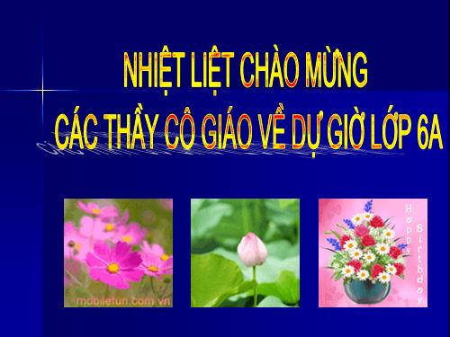 Chương I. §5. Tia