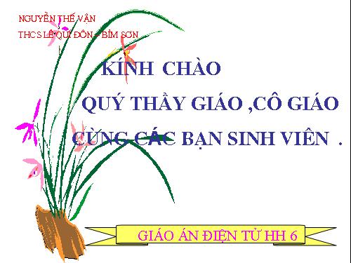 Chương I. §8. Khi nào thì AM + MB = AB?