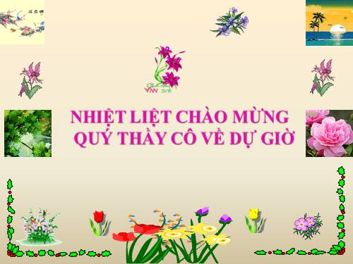 Chương I. §11. Chia đa thức cho đơn thức