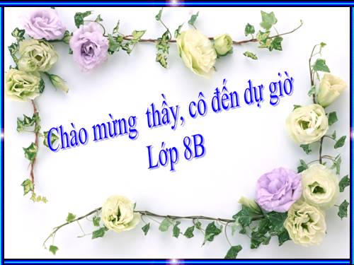 Chương II. §2. Tính chất cơ bản của phân thức