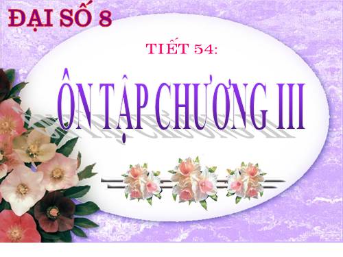 Ôn tập Chương III. Phương trình bậc nhất một ẩn