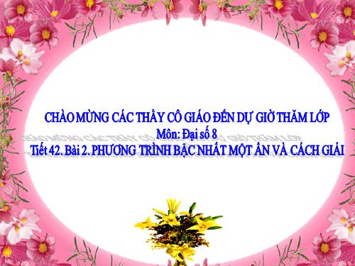 Chương III. §2. Phương trình bậc nhất một ẩn và cách giải