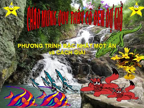 Chương III. §2. Phương trình bậc nhất một ẩn và cách giải