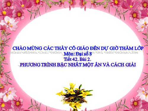 Chương III. §2. Phương trình bậc nhất một ẩn và cách giải