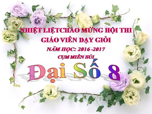 Chương II. §8. Phép chia các phân thức đại số