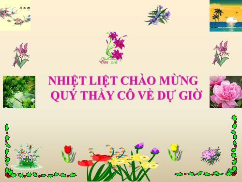 Chương I. §11. Chia đa thức cho đơn thức