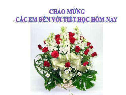 Chương IV. §1. Liên hệ giữa thứ tự và phép cộng