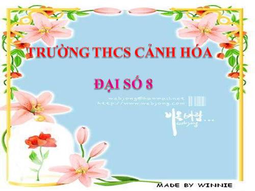 Chương III. §7. Giải bài toán bằng cách lập phương trình (tiếp)