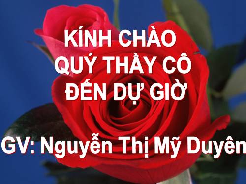 Chương III. §5. Phương trình chứa ẩn ở mẫu