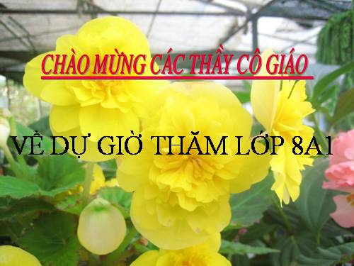 Chương I. §4. Những hằng đẳng thức đáng nhớ (tiếp)