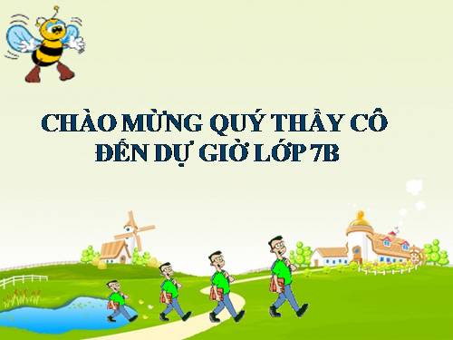 Các bài Luyện tập