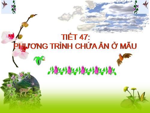 Chương III. §5. Phương trình chứa ẩn ở mẫu