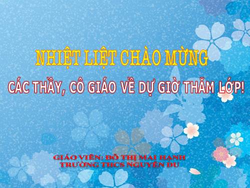 Các bài Luyện tập