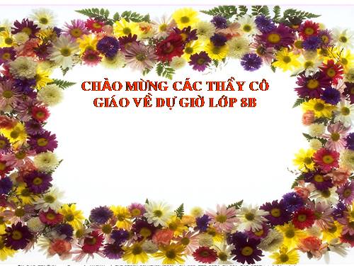 Các bài Luyện tập