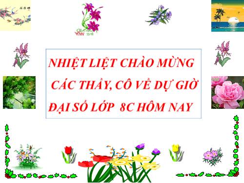 Các bài Luyện tập