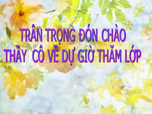 Chương II. §6. Phép trừ các phân thức đại số