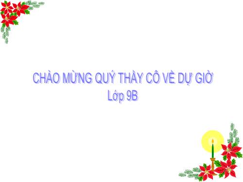 Các bài Luyện tập