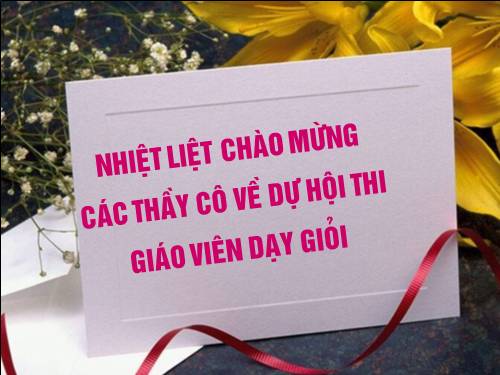 Các bài Luyện tập