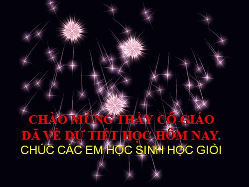 Chương I. §8. Phân tích đa thức thành nhân tử bằng phương pháp nhóm hạng tử