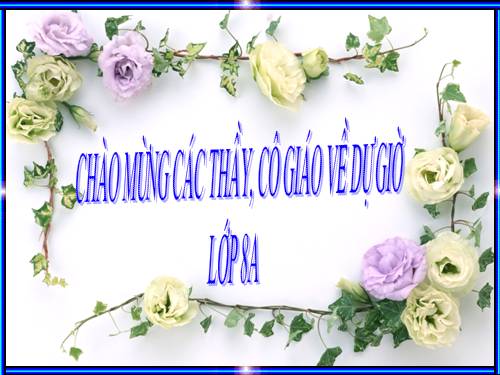 Chương II. §2. Tính chất cơ bản của phân thức
