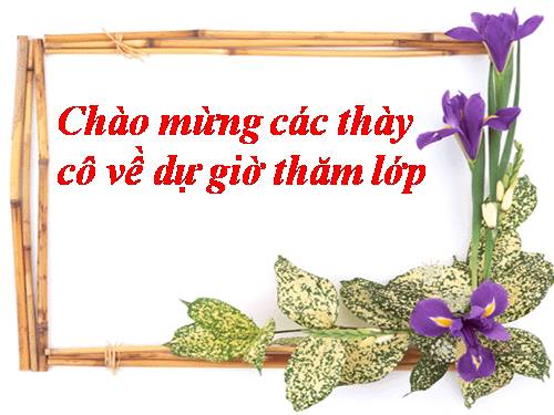 Chương I. §12. Chia đa thức một biến đã sắp xếp