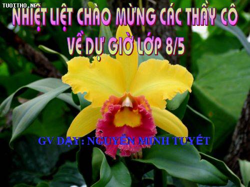 Chương I. §8. Phân tích đa thức thành nhân tử bằng phương pháp nhóm hạng tử