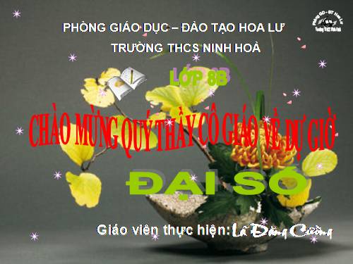 Chương II. §8. Phép chia các phân thức đại số