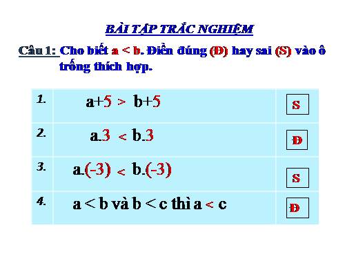 Các bài Luyện tập