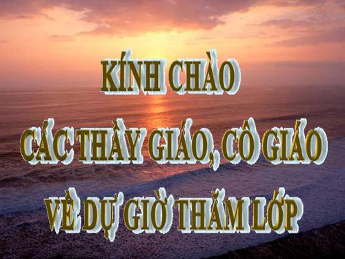 Các bài Luyện tập