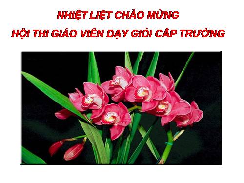 Chương II. §3. Rút gọn phân thức