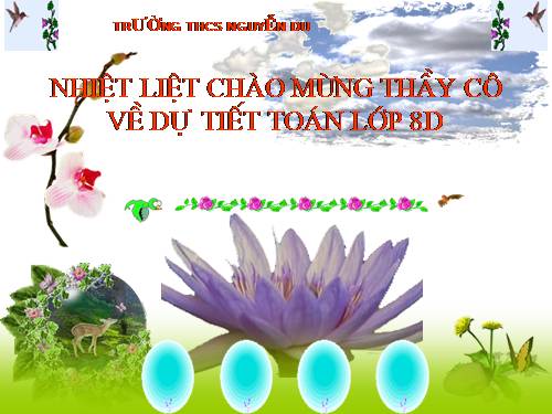 Chương III. §5. Phương trình chứa ẩn ở mẫu