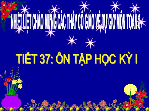 Các bài Luyện tập