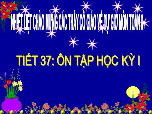 Các bài Luyện tập