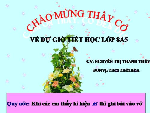 Chương II. §8. Phép chia các phân thức đại số