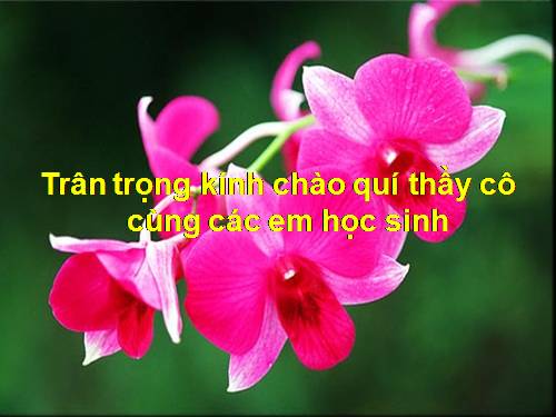 Chương II. §3. Rút gọn phân thức