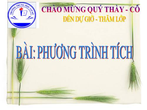 Chương III. §4. Phương trình tích