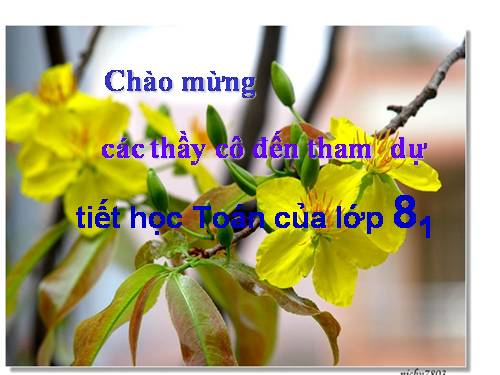 Các bài Luyện tập