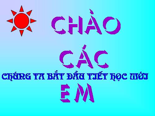 Các bài Luyện tập