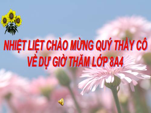 Chương II. §5. Phép cộng các phân thức đại số