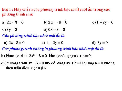 phuong trinh bac nhat mot an