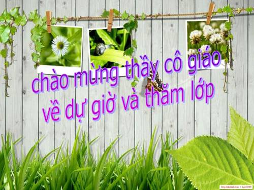 Các bài Luyện tập