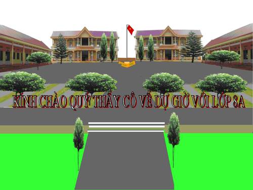 Các bài Luyện tập