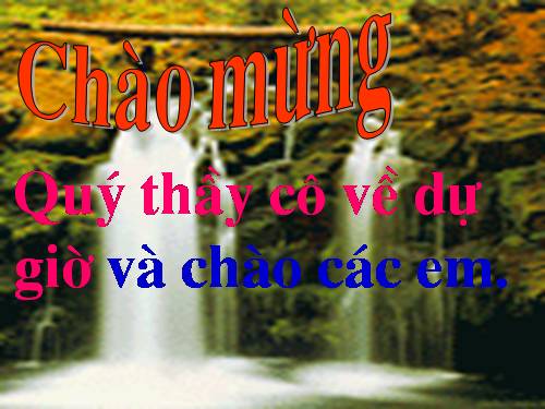 Chương II. §8. Phép chia các phân thức đại số