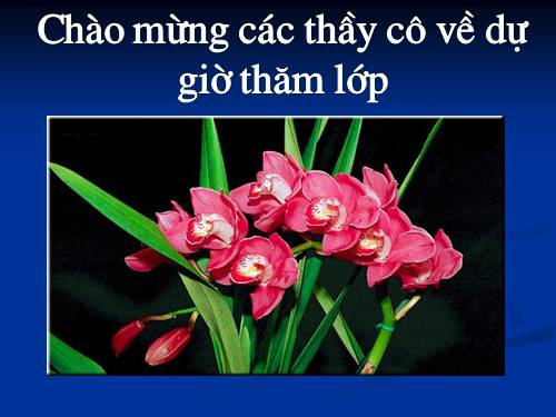 Chương II. §3. Rút gọn phân thức