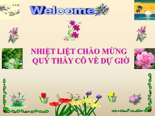 Chương I. §11. Chia đa thức cho đơn thức